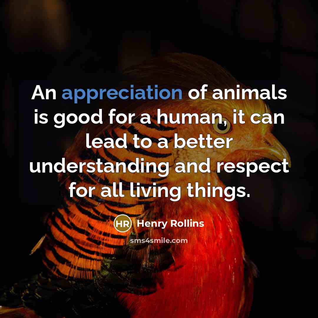 “An appreciation of animals is good for a human, it…” quote by Henry Rollins