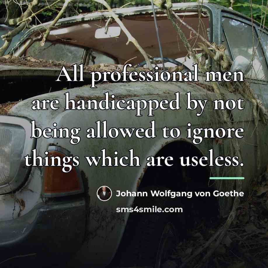 “All professional men are handicapped by not being allowed to…” quote by Johann Wolfgang von Goethe