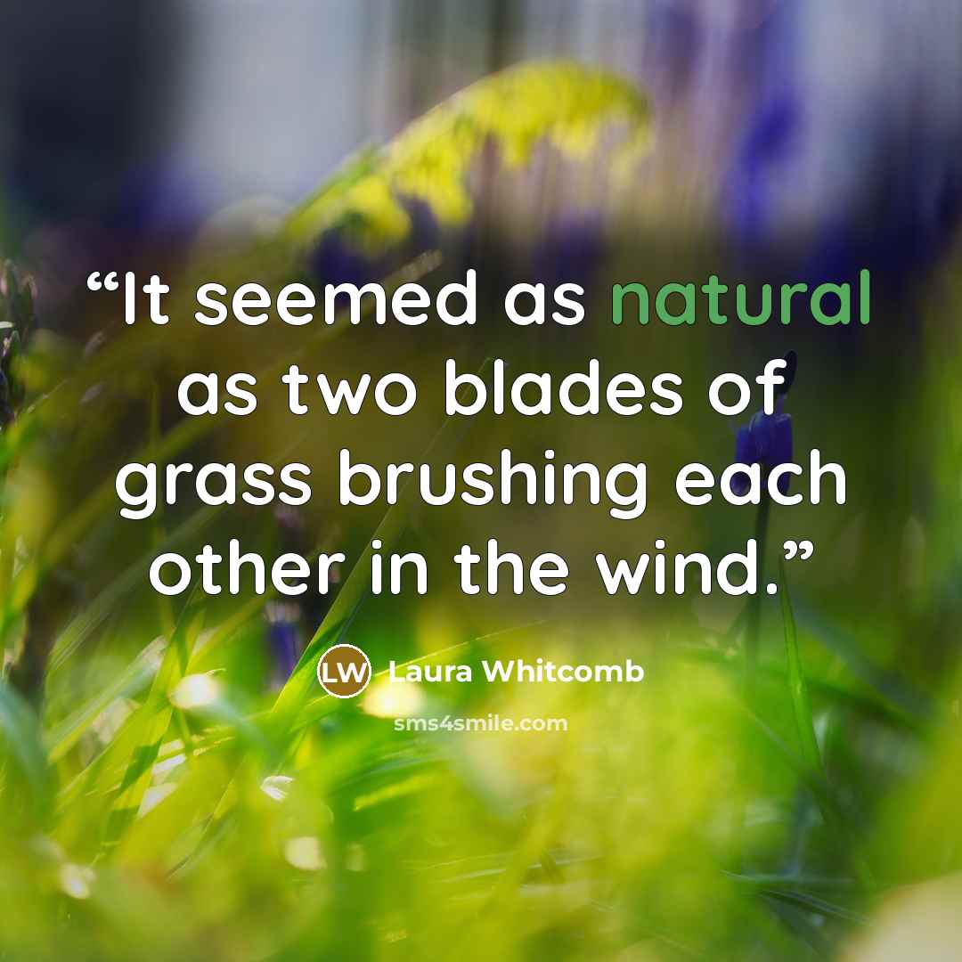 “It seemed as natural as two blades of grass brushing each other in the wind.” quote by Laura Whitcomb