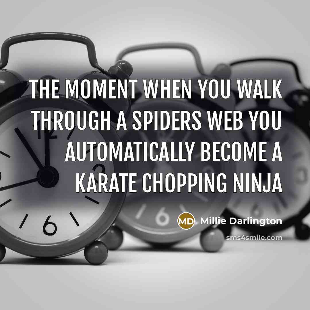 “The moment when you walk through a spiders web you…” quote by Millie Darlington