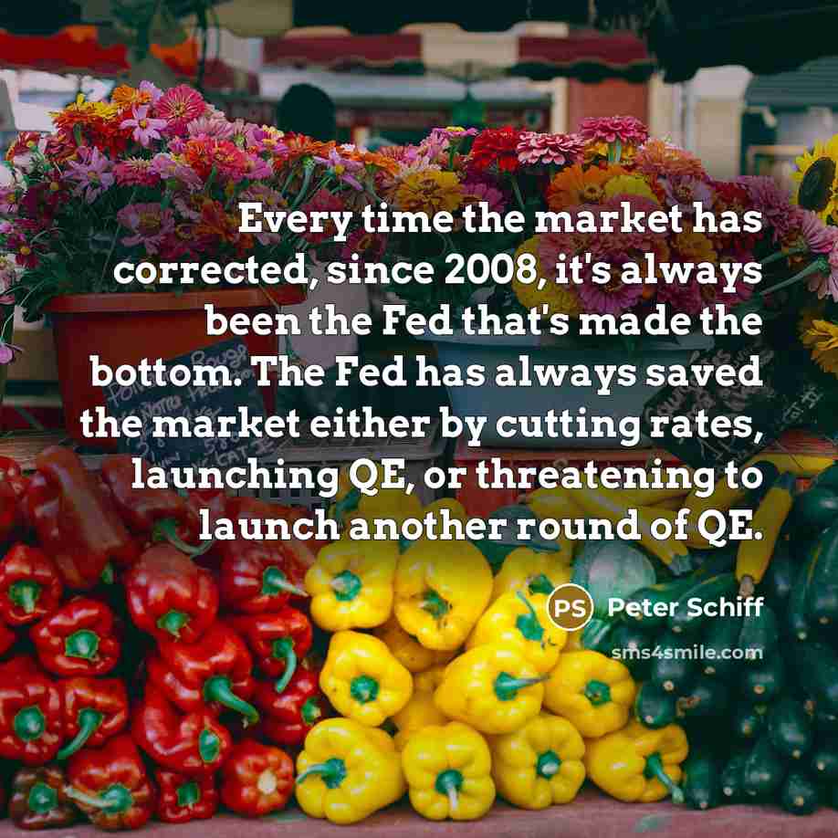 “Every time the market has corrected, since 2008, it's always…” quote by Peter Schiff