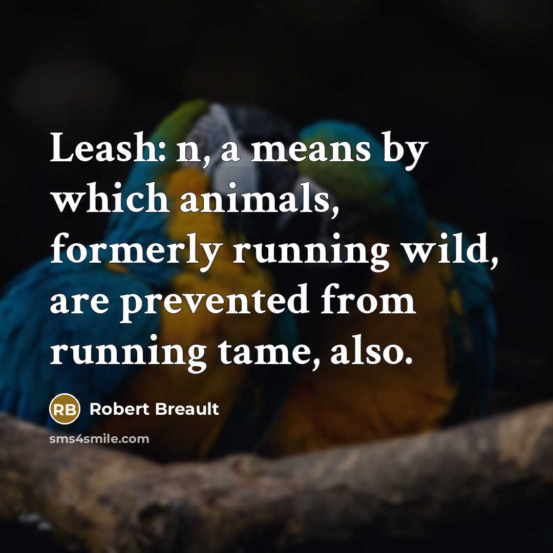 “Leash: n, a means by which animals, formerly running wild,…” quote by Robert Breault
