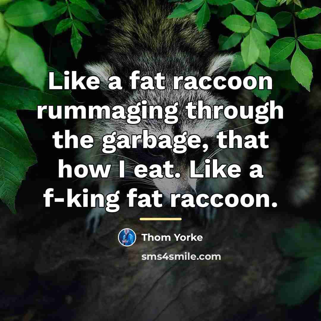“Like a fat raccoon rummaging through the garbage, that how…” quote by Thom Yorke