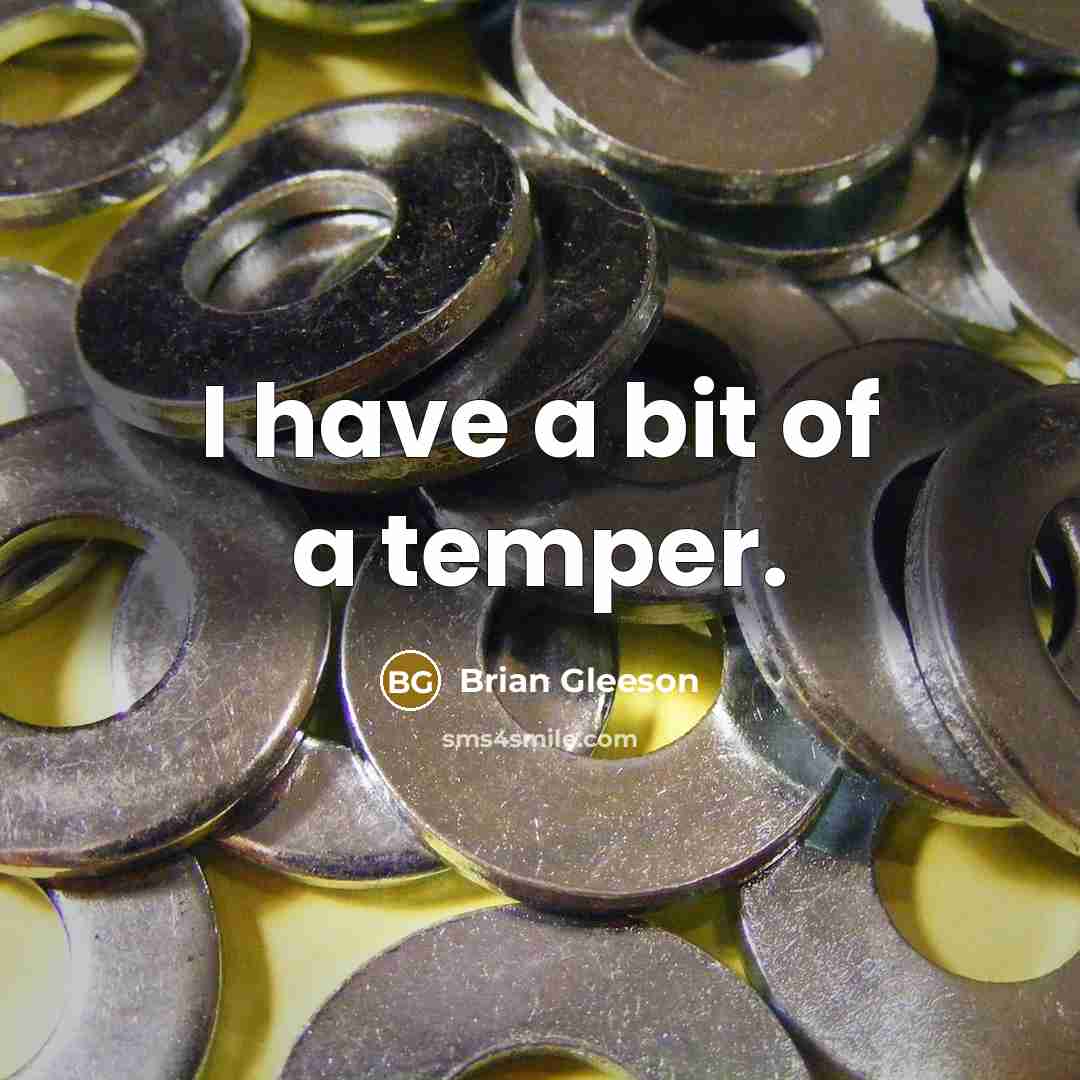 “I have a bit of a temper.…” quote by Brian Gleeson