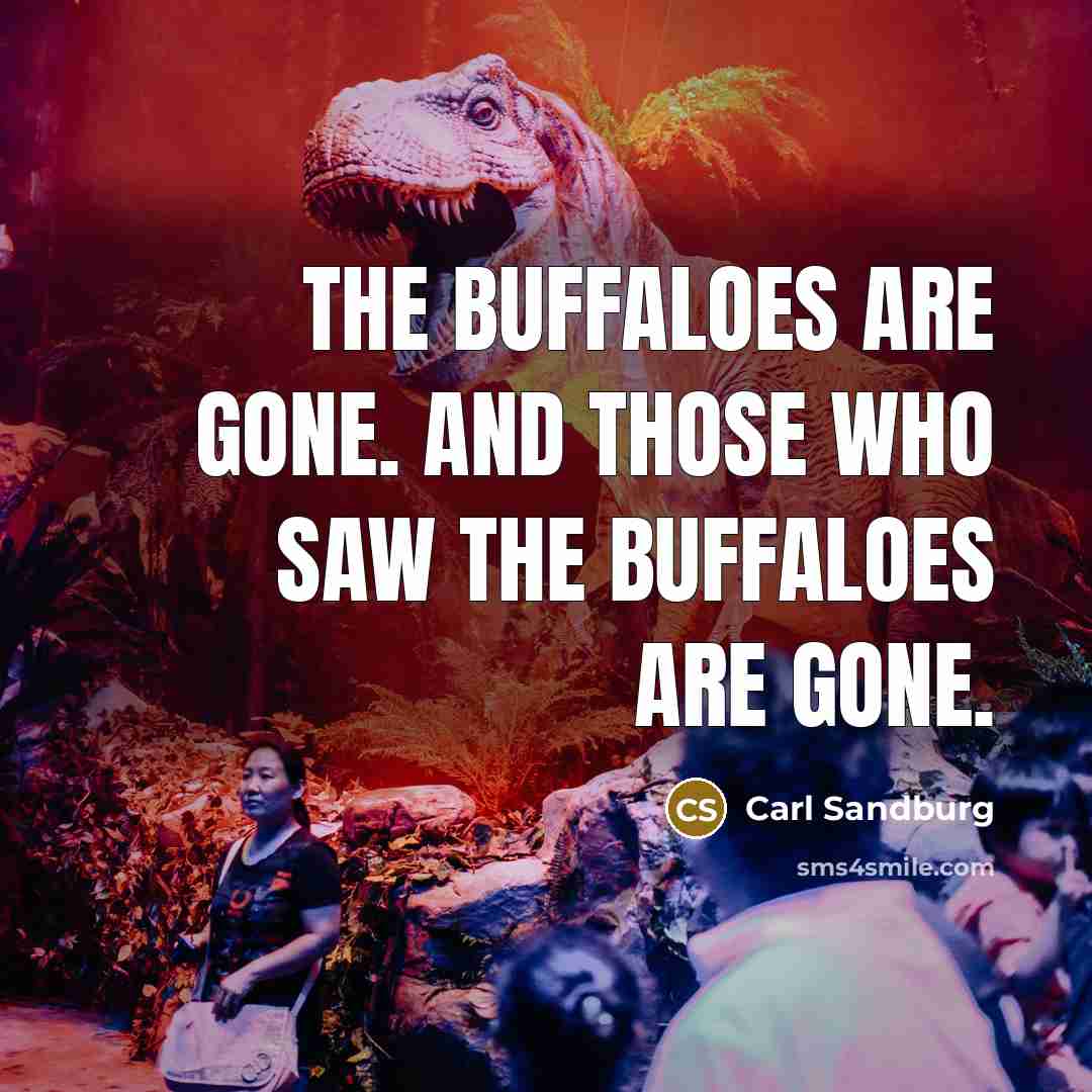 “The buffaloes are gone. And those who saw the buffaloes…” quote by Carl Sandburg