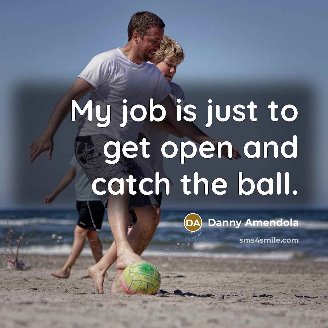 “My job is just to get open and catch the…” quote by Danny Amendola