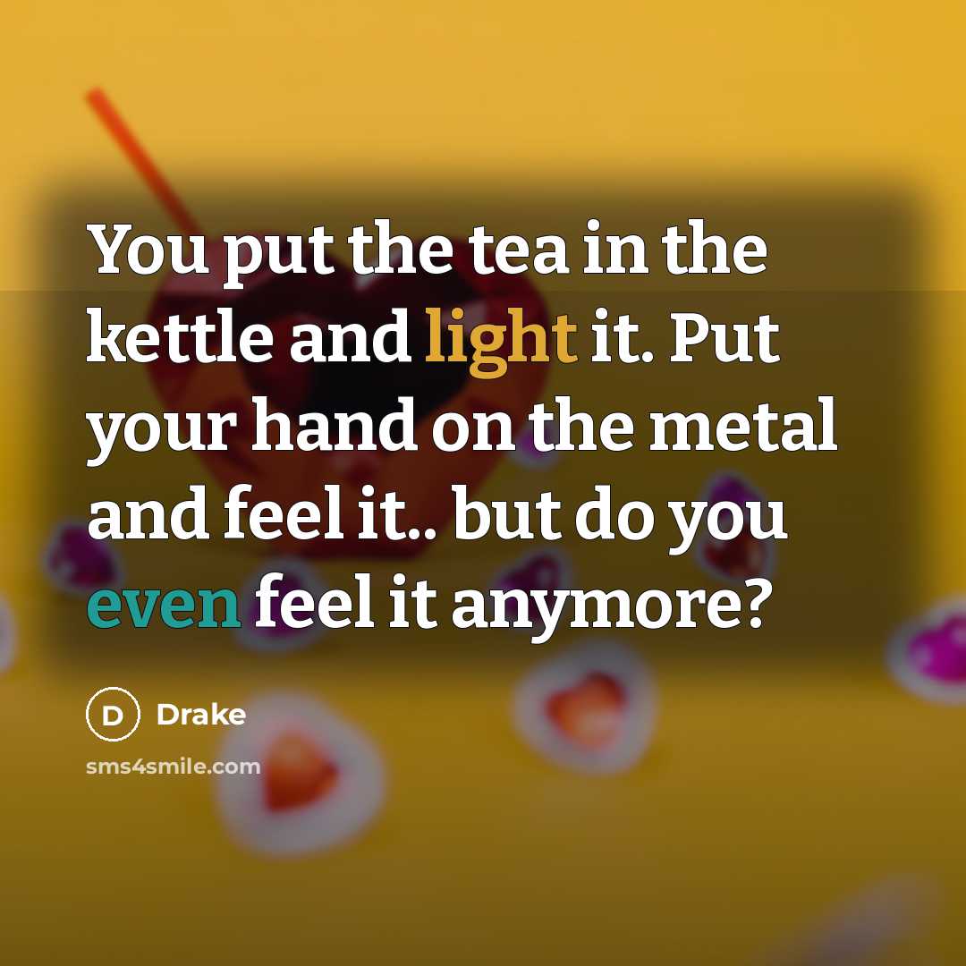 “You put the tea in the kettle and light it.…” quote by Drake