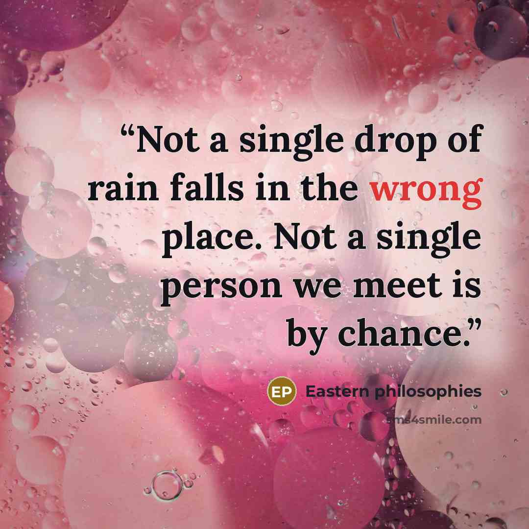 “Not a single drop of rain falls in the wrong place. Not a single person we meet is by chance.” quote by Eastern philosophies
