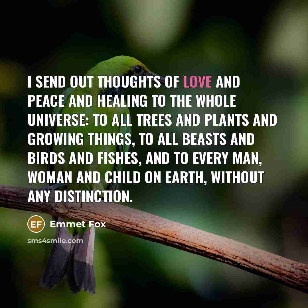 “I send out thoughts of love and peace and healing…” quote by Emmet Fox