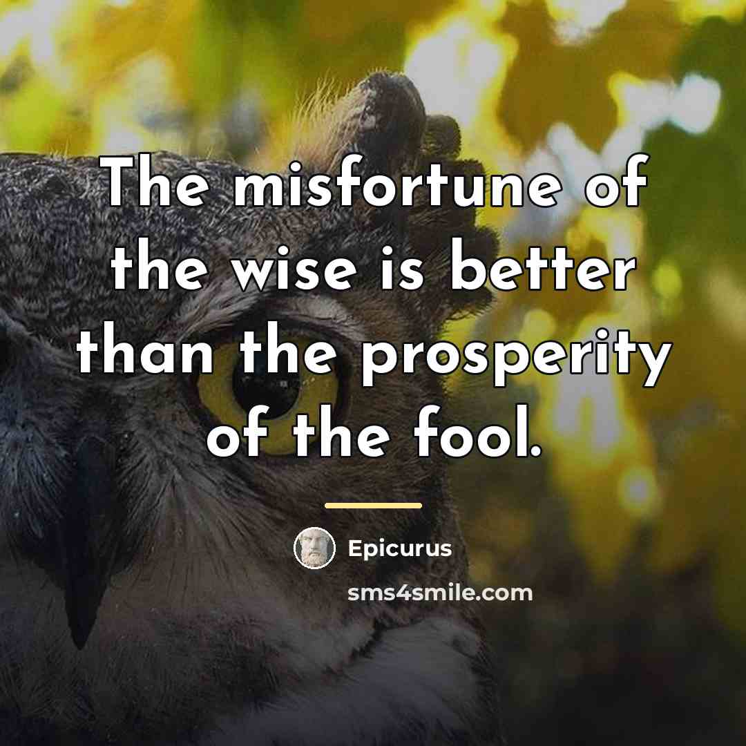 “The misfortune of the wise is better than the prosperity…” quote by Epicurus
