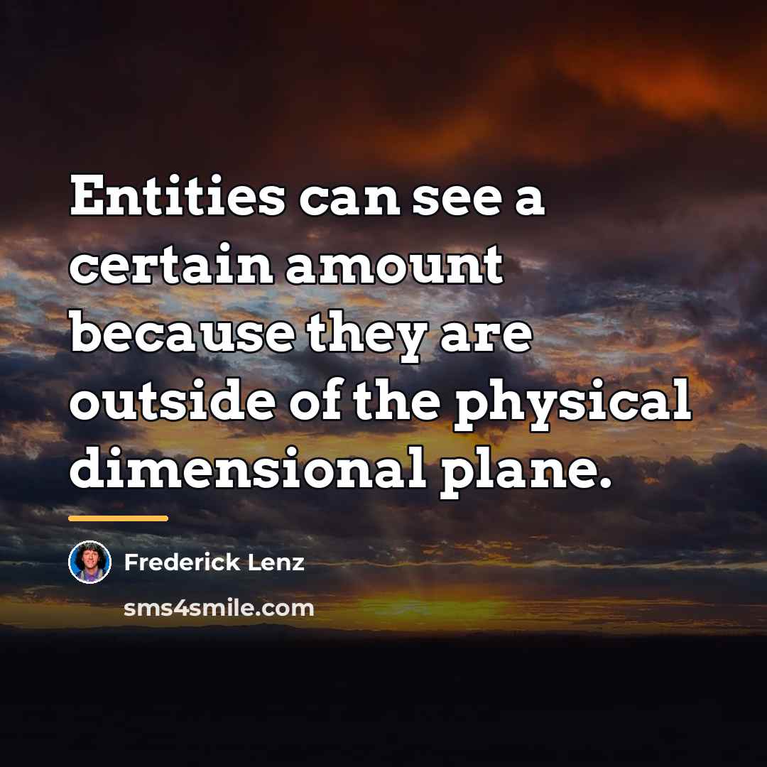 “Entities can see a certain amount because they are outside…” quote by Frederick Lenz
