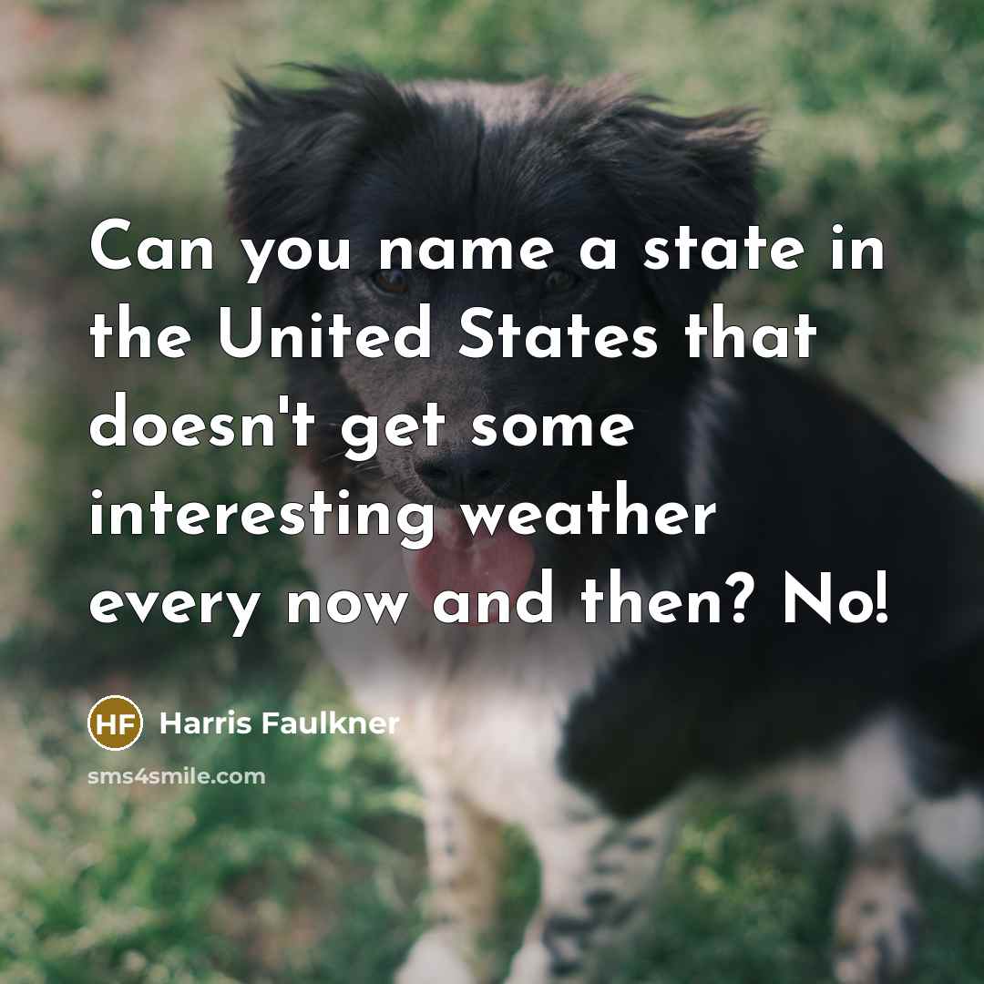 “Can you name a state in the United States that…” quote by Harris Faulkner