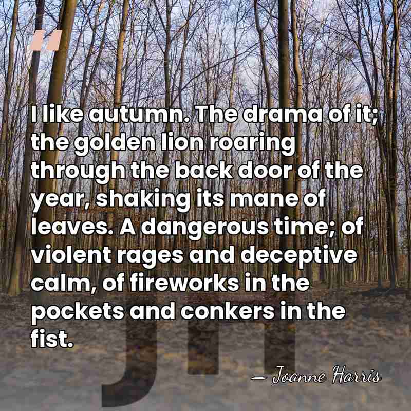 I like autumn. The drama of it; the golden lion roaring through&hellip; - Joanne Harris
