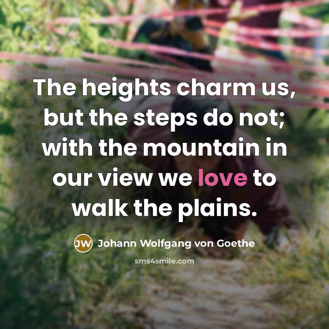 “The heights charm us, but the steps do not; with…” quote by Johann Wolfgang von Goethe