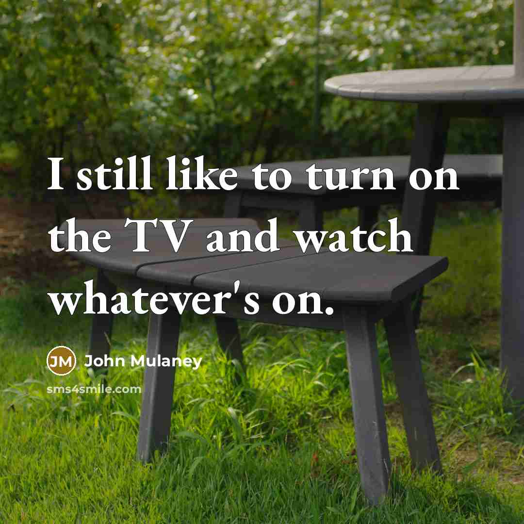“I still like to turn on the TV and watch…” quote by John Mulaney