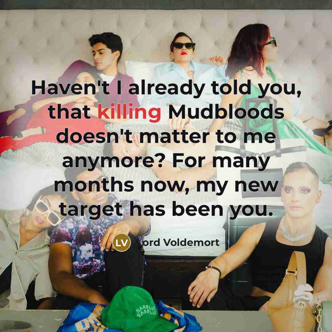 “Haven't I already told you, that killing Mudbloods doesn't matter…” quote by Lord Voldemort