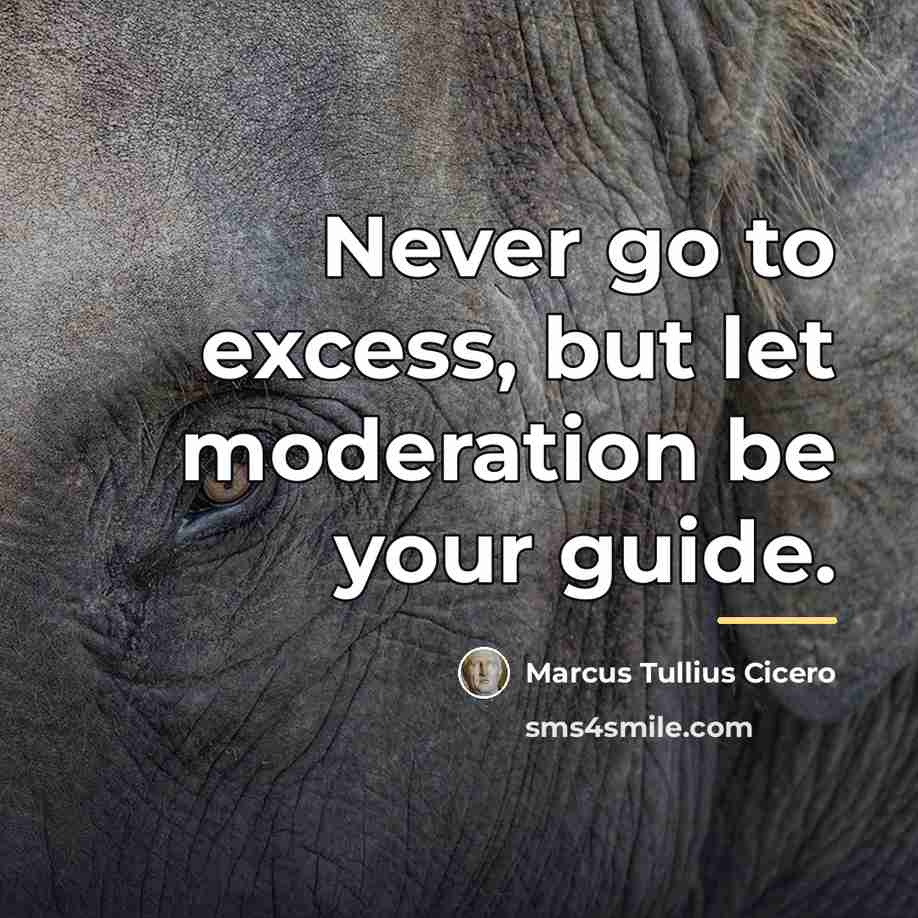 “Never go to excess, but let moderation be your guide.…” quote by Marcus Tullius Cicero