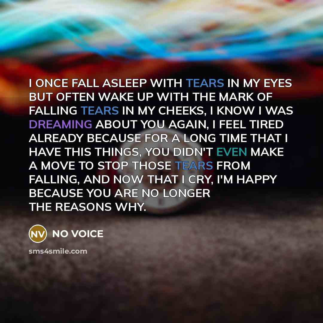 “I ONCE FALL ASLEEP WITH TEARS IN MY EYES BUT…” quote by NO VOICE