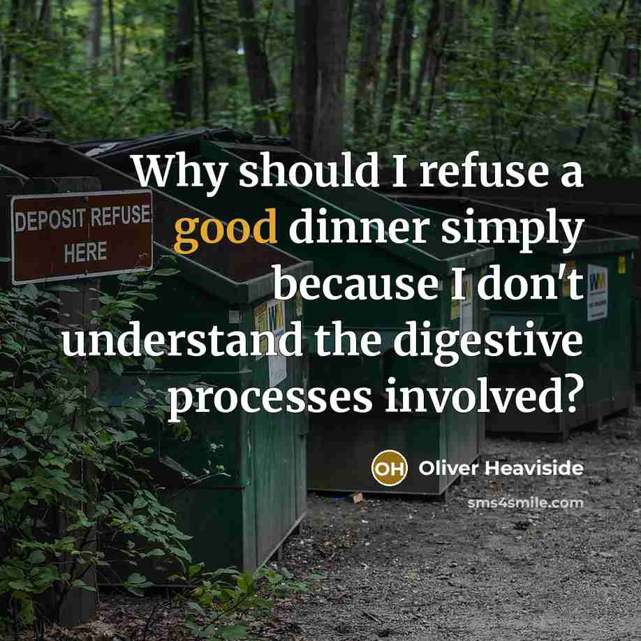 “Why should I refuse a good dinner simply because I don't understand the digestive processes involved?” quote by Oliver Heaviside