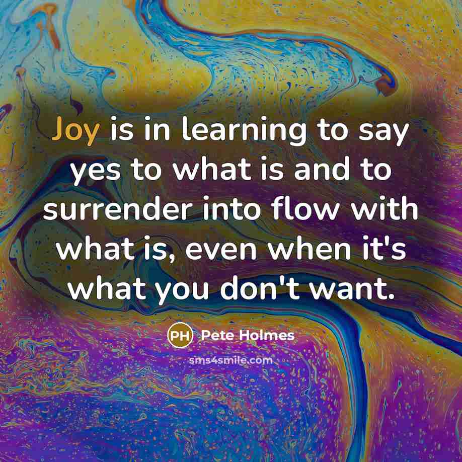 “Joy is in learning to say yes to what is…” quote by Pete Holmes