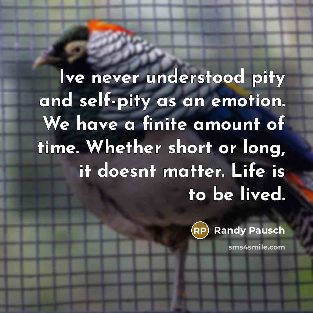 “Ive never understood pity and self-pity as an emotion. We…” quote by Randy Pausch