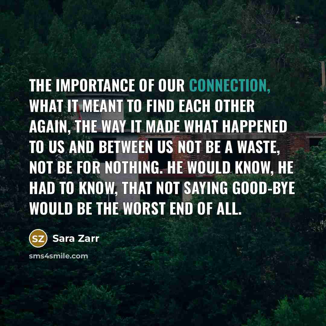 “The importance of our connection, what it meant to find…” quote by Sara Zarr