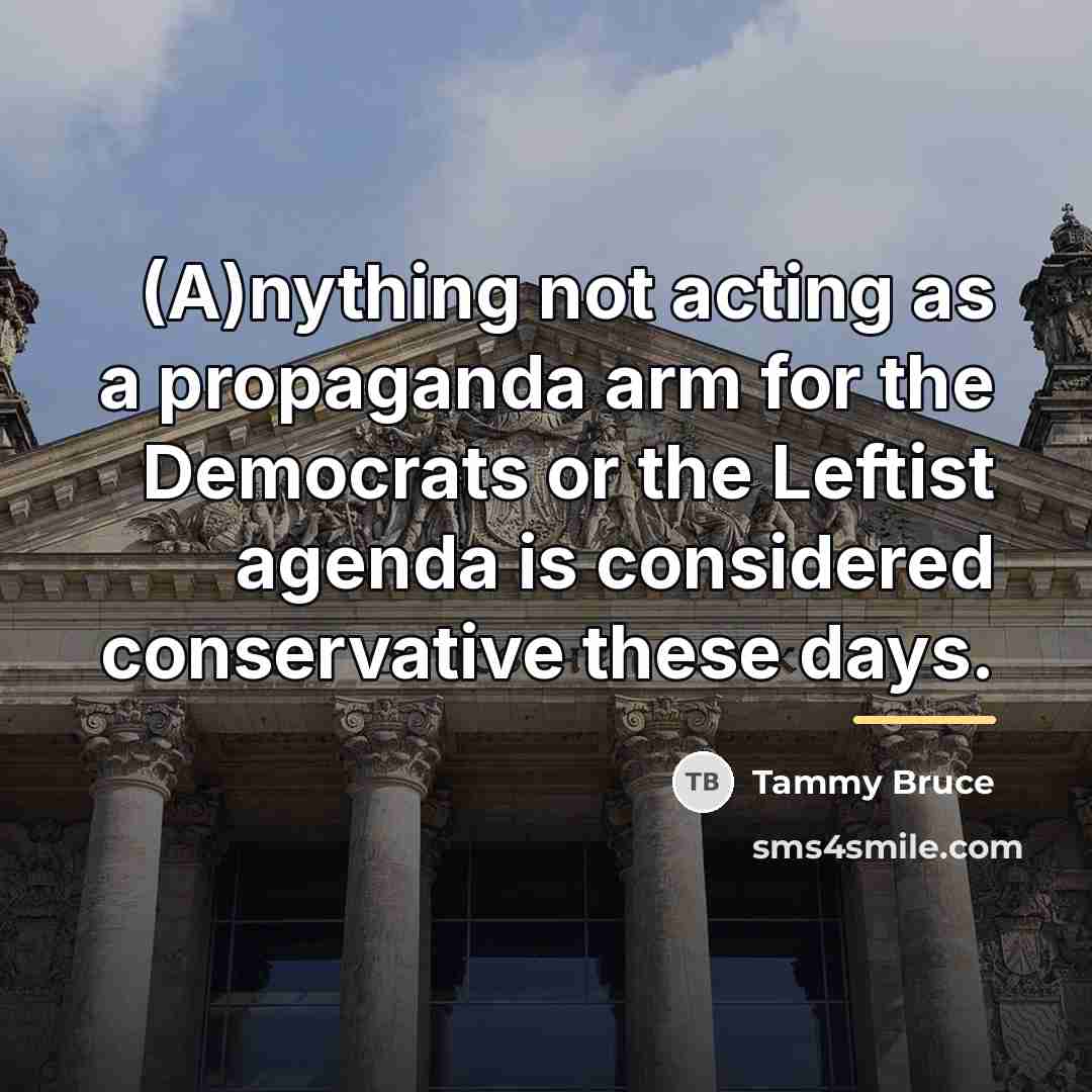 “(A)nything not acting as a propaganda arm for the Democrats…” quote by Tammy Bruce