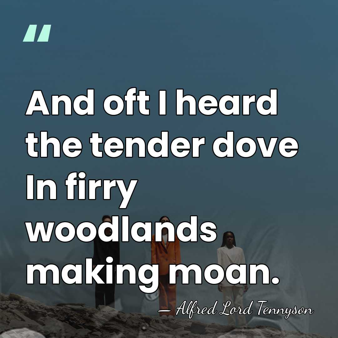 And oft I heard the tender dove In firry woodlands making moan. - Alfred Lord Tennyson