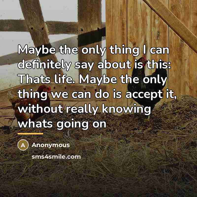 “Maybe the only thing I can definitely say about is…” quote by Anonymous