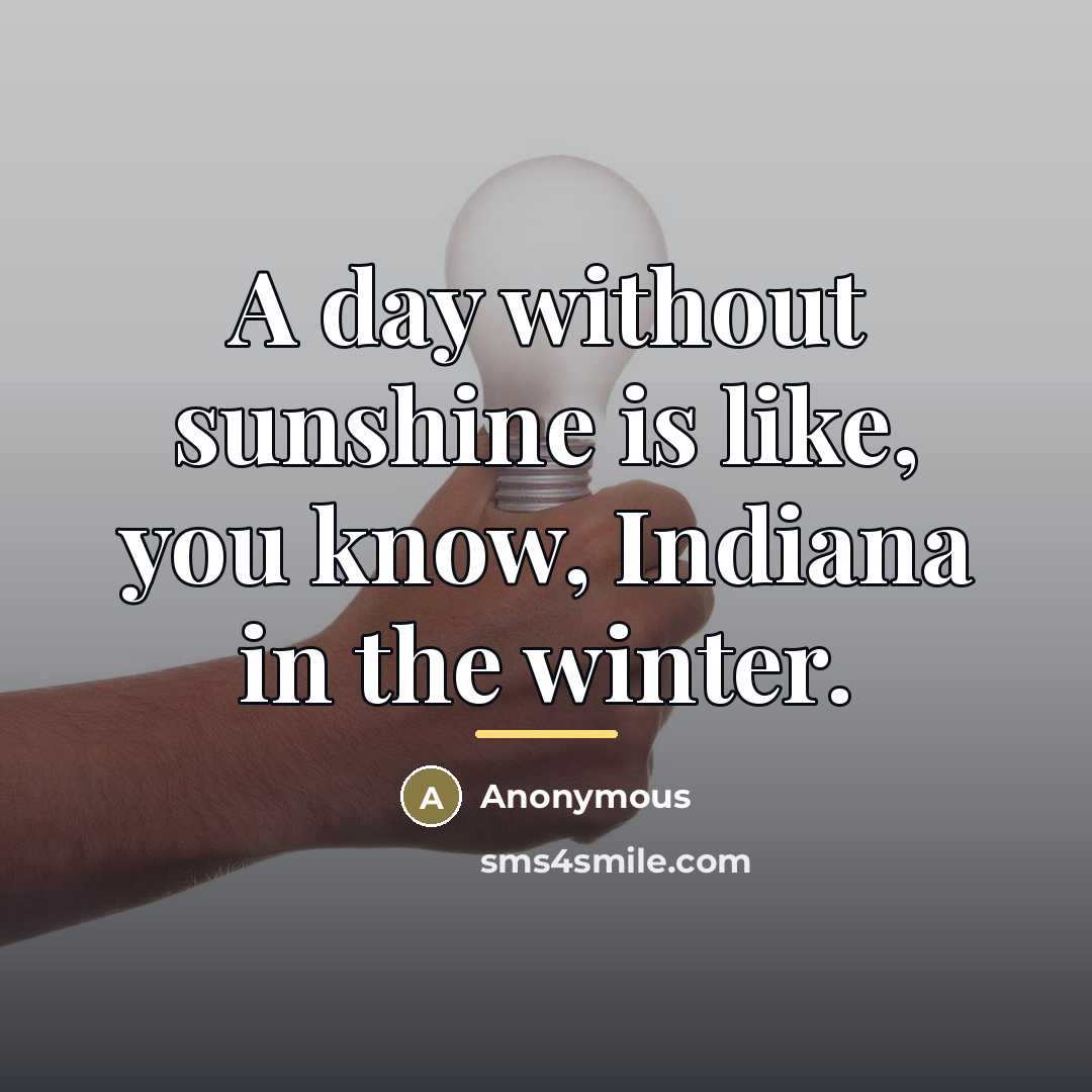 “A day without sunshine is like, you know, Indiana in…” quote by Anonymous