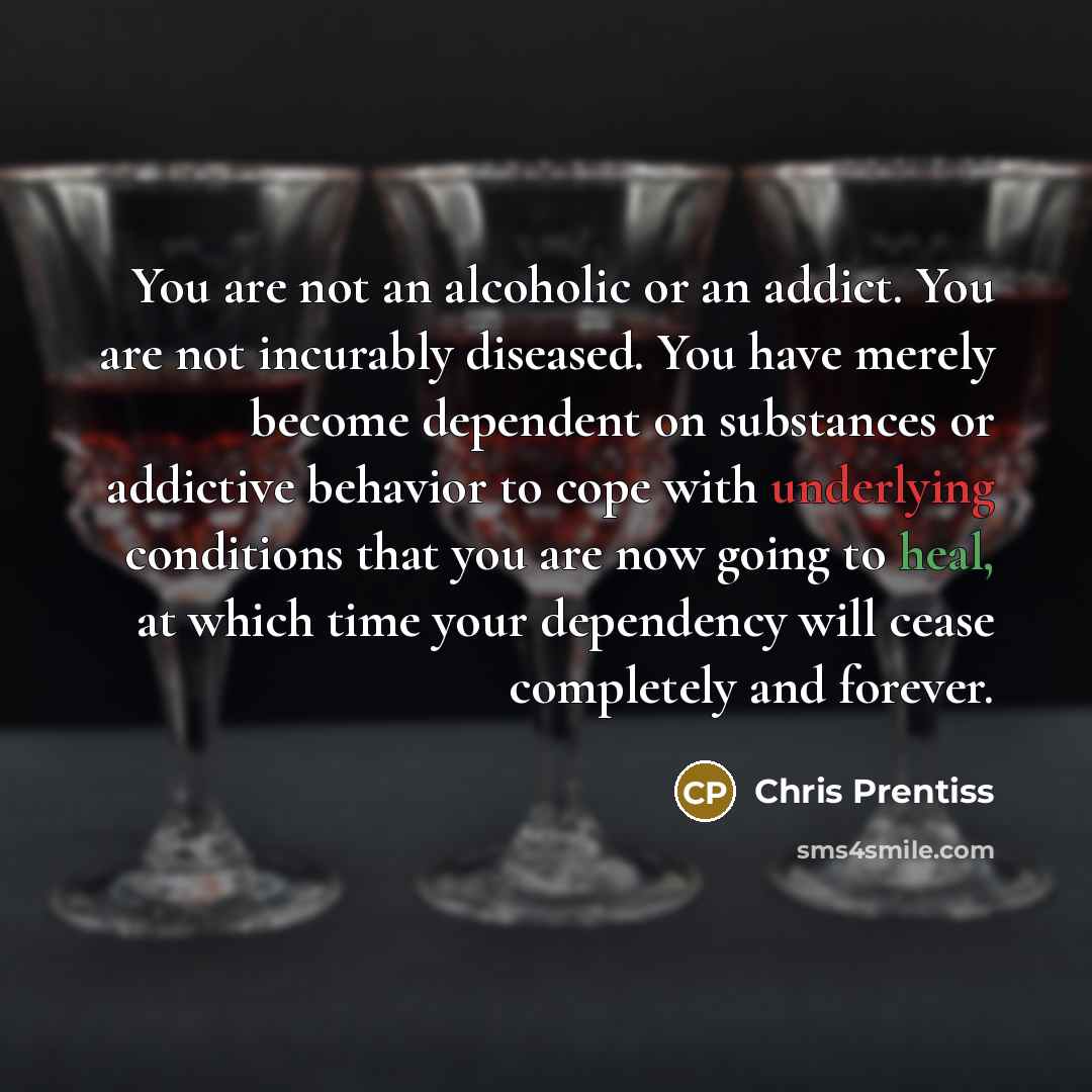 “You are not an alcoholic or an addict. You are…” quote by Chris Prentiss
