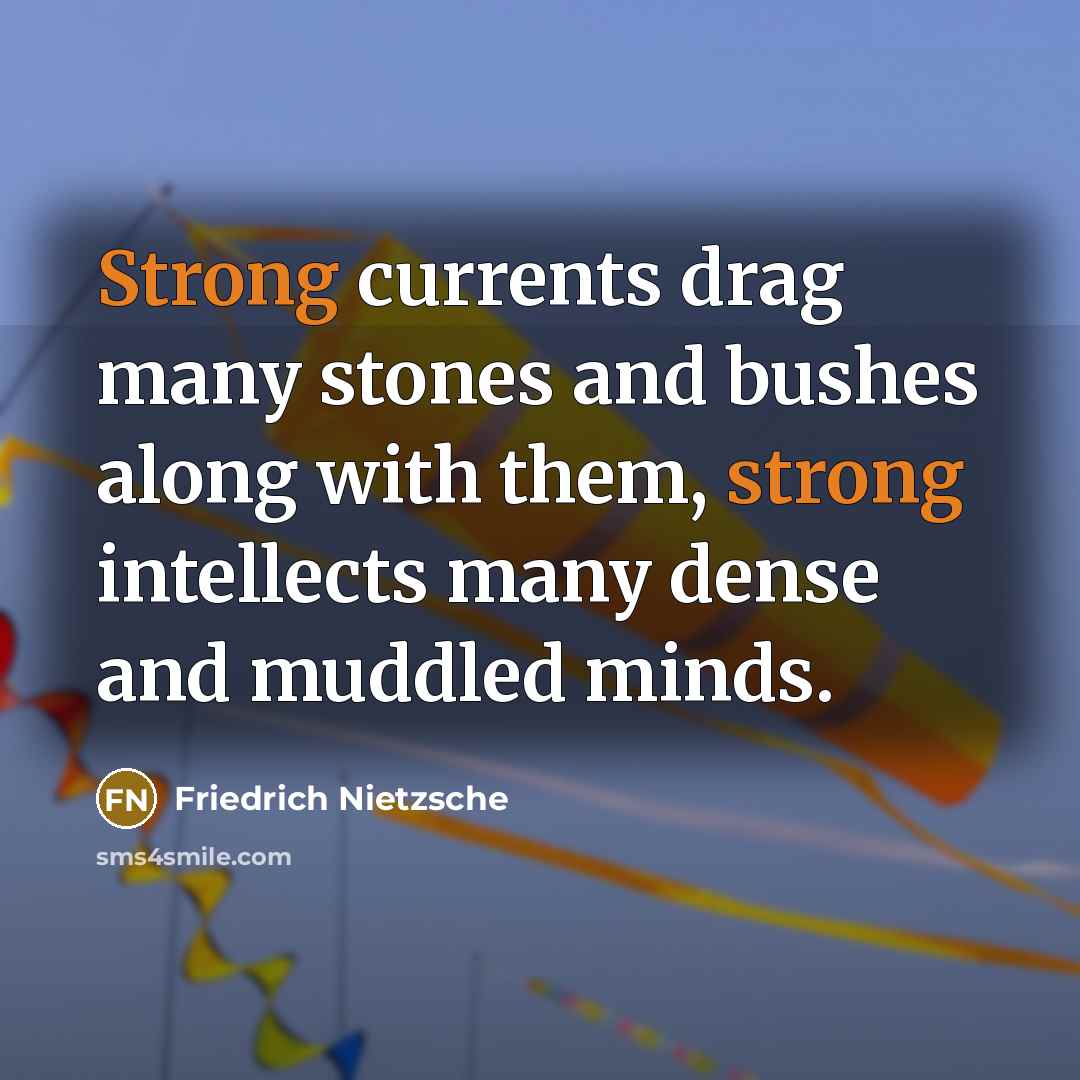 “Strong currents drag many stones and bushes along with them,…” quote by Friedrich Nietzsche