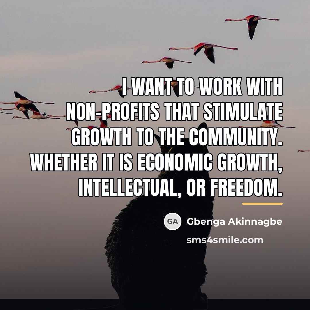 “I want to work with non-profits that stimulate growth to…” quote by Gbenga Akinnagbe