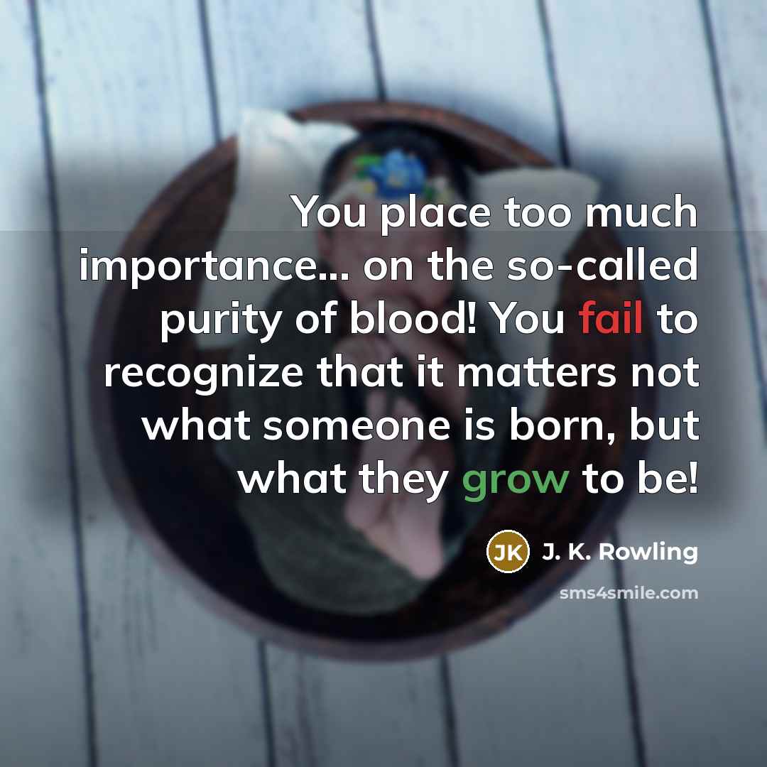 “You place too much importance... on the so-called purity of…” quote by J. K. Rowling