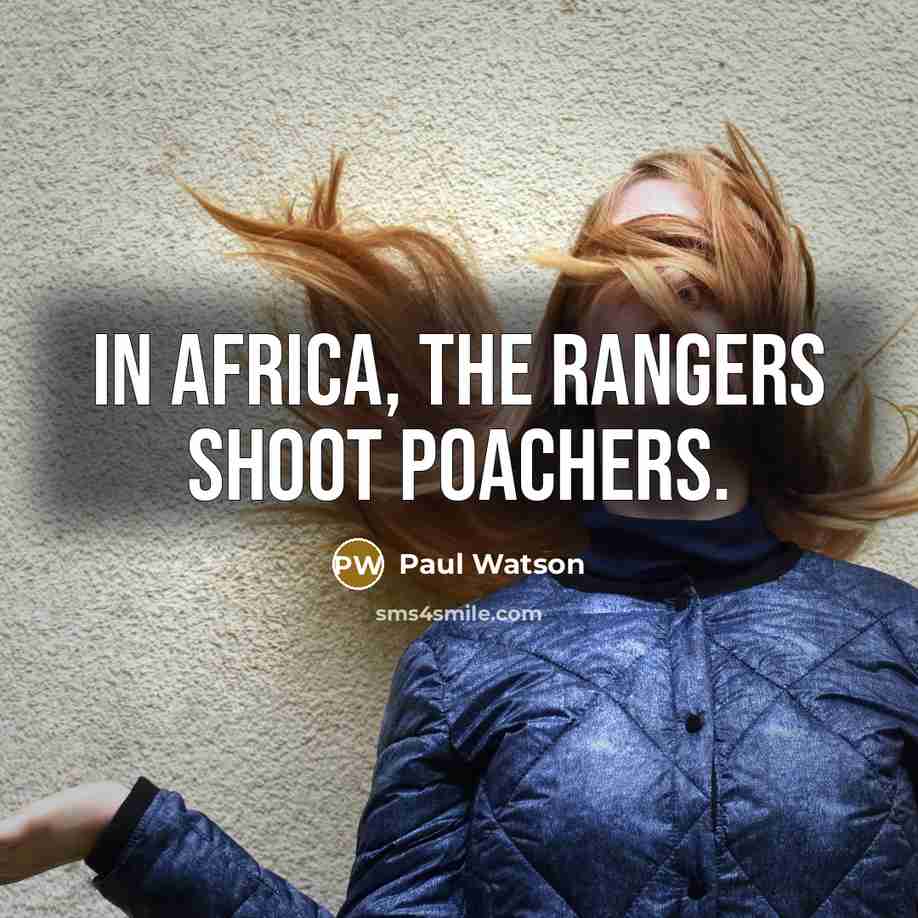 “In Africa, the rangers shoot poachers.…” quote by Paul Watson