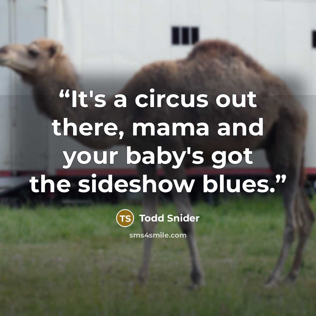 “It's a circus out there, mama and your baby's got the sideshow blues.” quote by Todd Snider