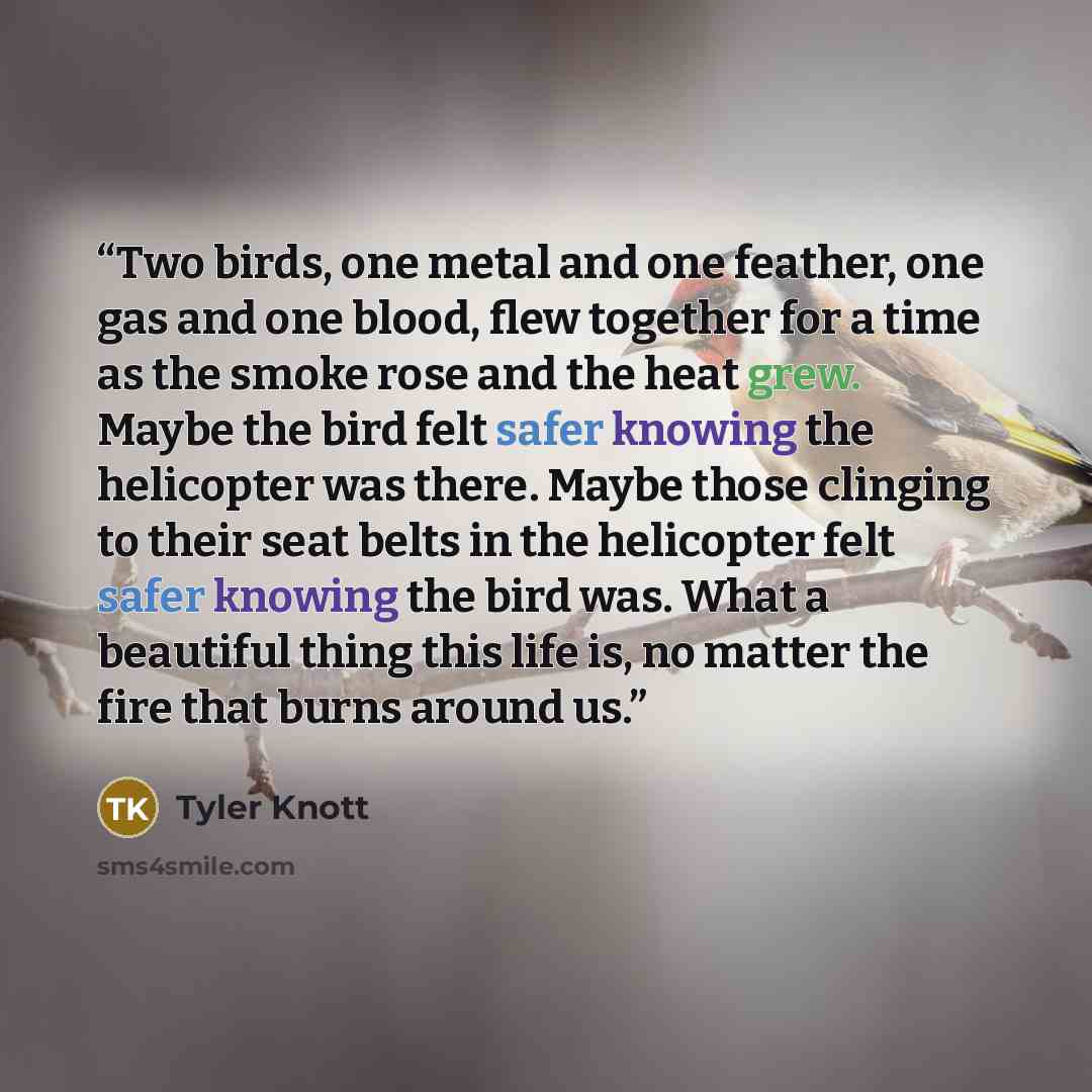 “Two birds, one metal and one feather, one gas and one blood, flew together for a time as the smoke rose and the heat grew. Maybe the bird felt safer knowing the helicopter was there. Maybe those clinging to their seat belts in the helicopter felt safer knowing the bird was. What a beautiful thing…” quote by Tyler Knott