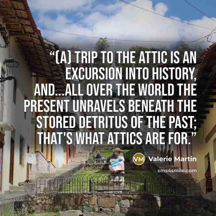 “(A) trip to the attic is an excursion into history, and...all over the world the present unravels beneath the stored detritus of the past; that's what attics are for.” quote by Valerie Martin