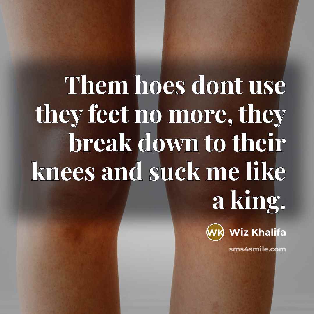 “Them hoes dont use they feet no more, they break down to their knees and suck me like a king.” quote by Wiz Khalifa