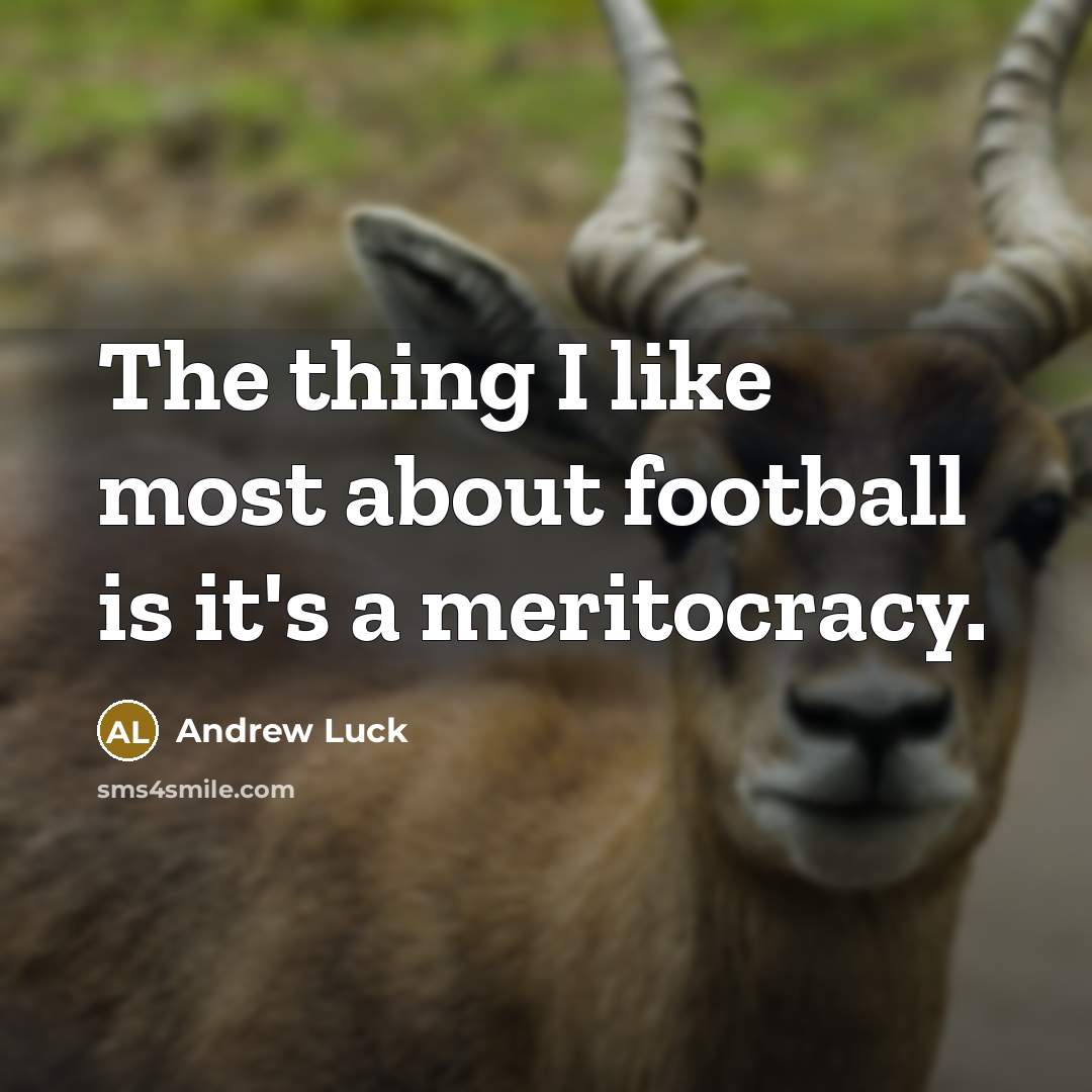“The thing I like most about football is it's a…” quote by Andrew Luck