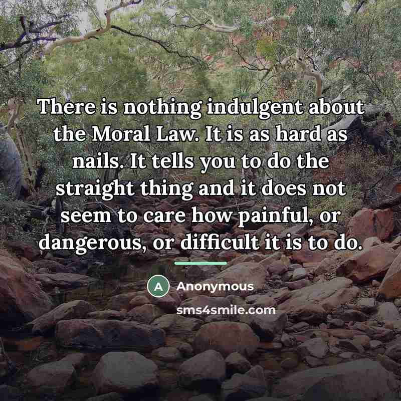 “There is nothing indulgent about the Moral Law. It is…” quote by Anonymous