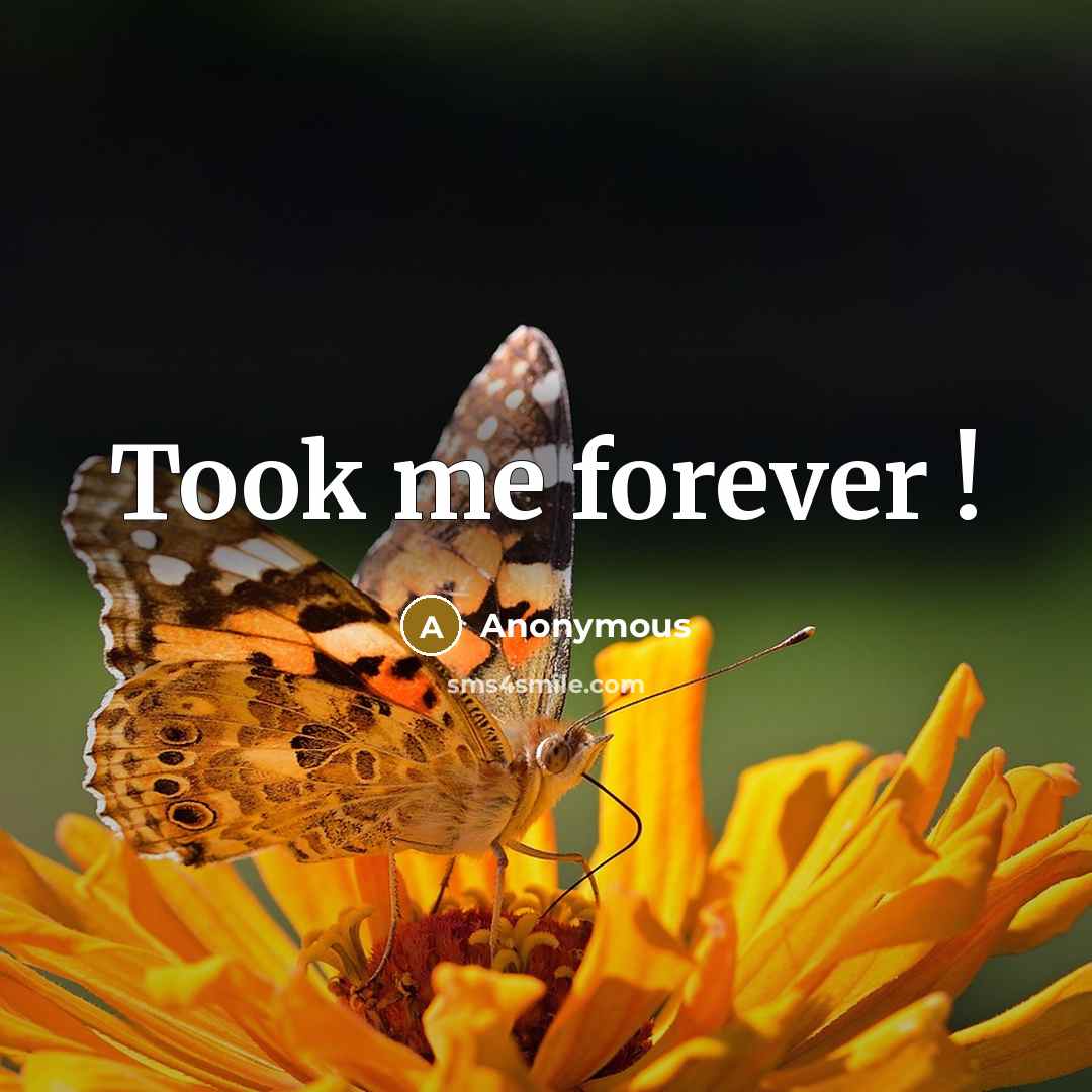 “Took me forever !” quote by Anonymous
