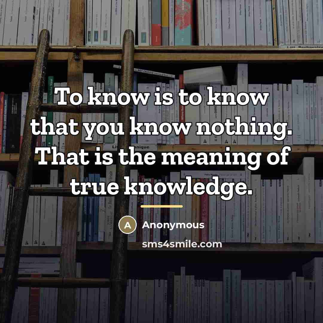 “To know is to know that you know nothing. That…” quote by Anonymous