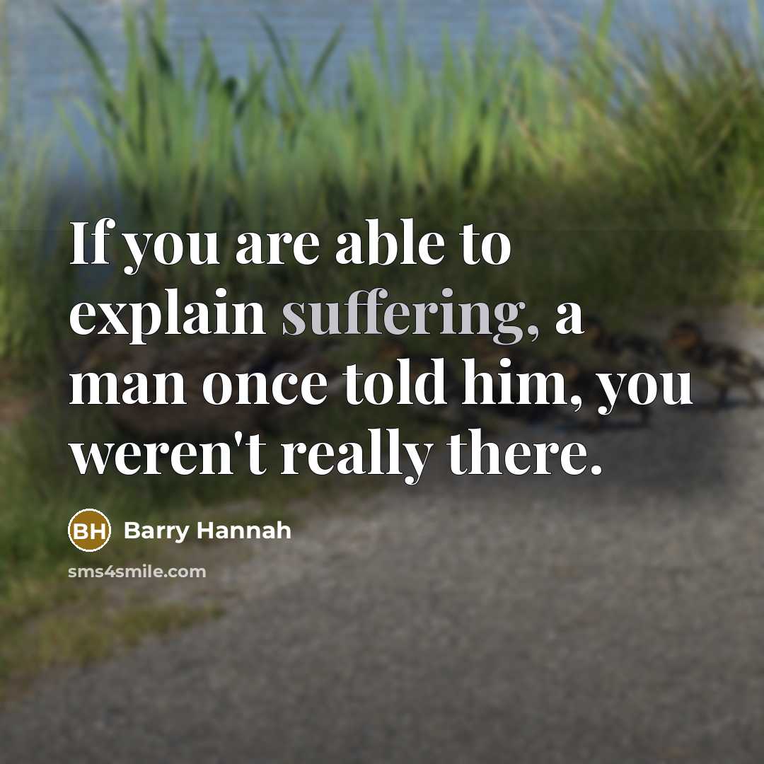 “If you are able to explain suffering, a man once…” quote by Barry Hannah