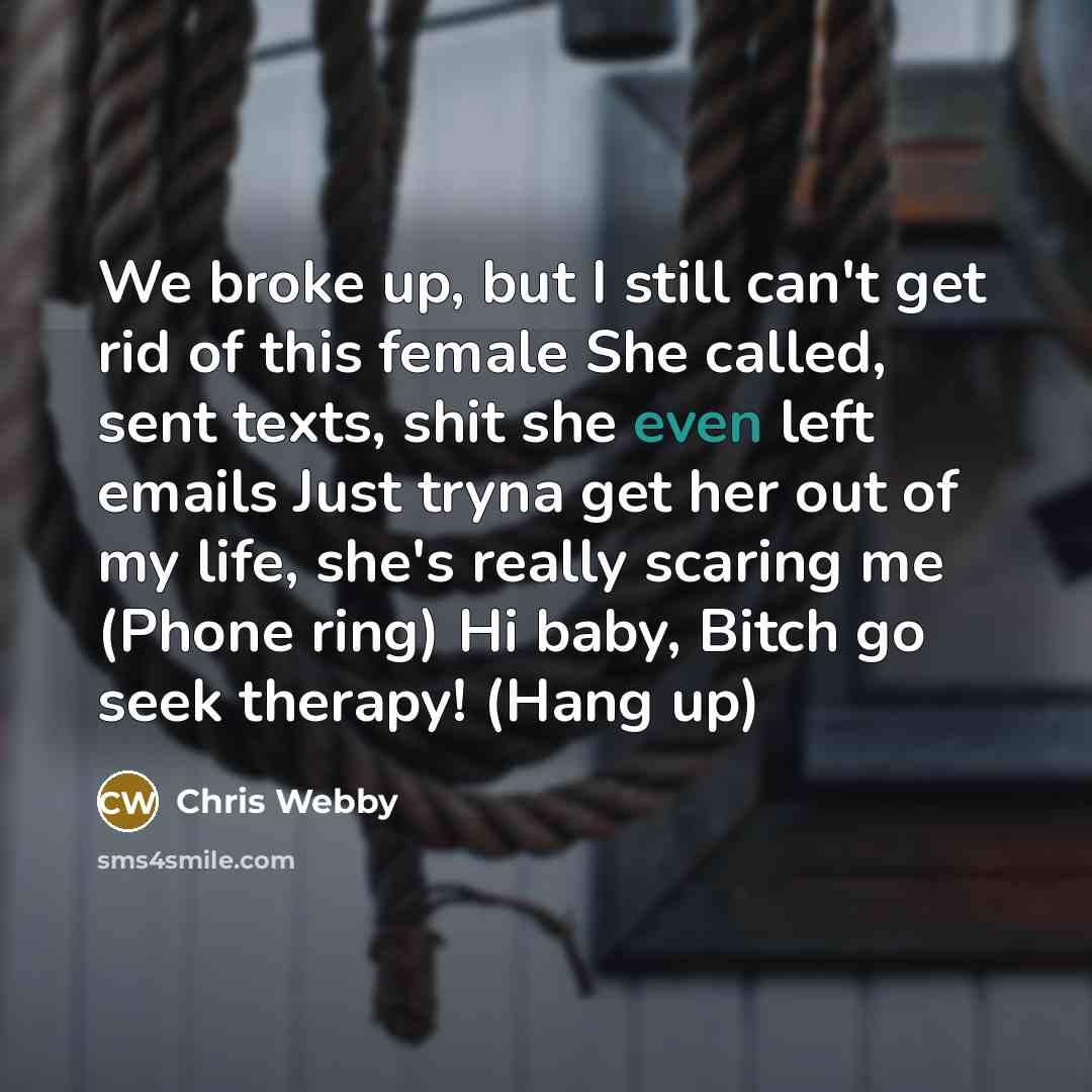 “We broke up, but I still can't get rid of this female She called, sent texts, shit she even left emails Just tryna get her out of my life, she's really scaring me (Phone ring) Hi baby, Bitch go seek therapy! (Hang up)” quote by Chris Webby