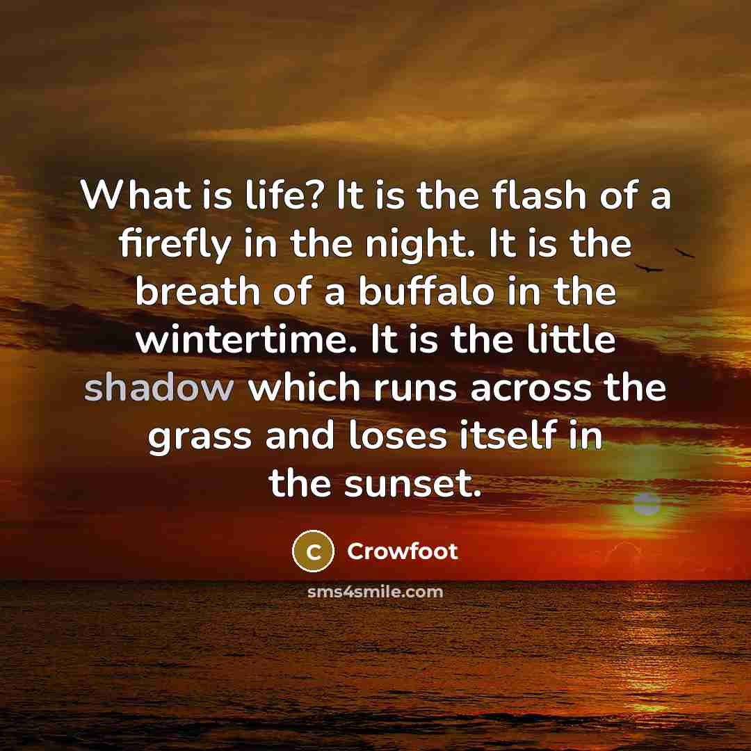 “What is life? It is the flash of a firefly…” quote by Crowfoot