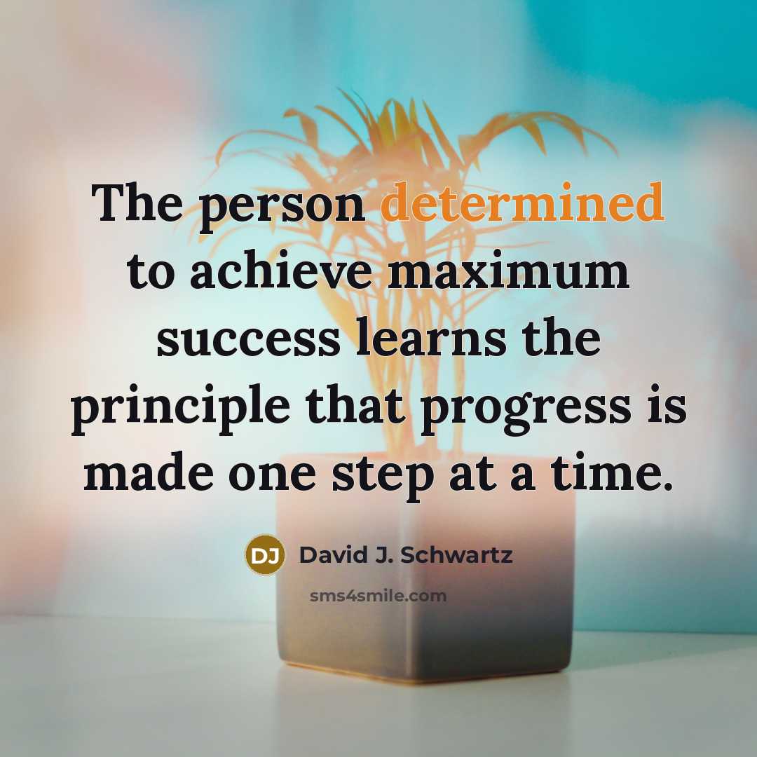 “The person determined to achieve maximum success learns the principle…” quote by David J. Schwartz