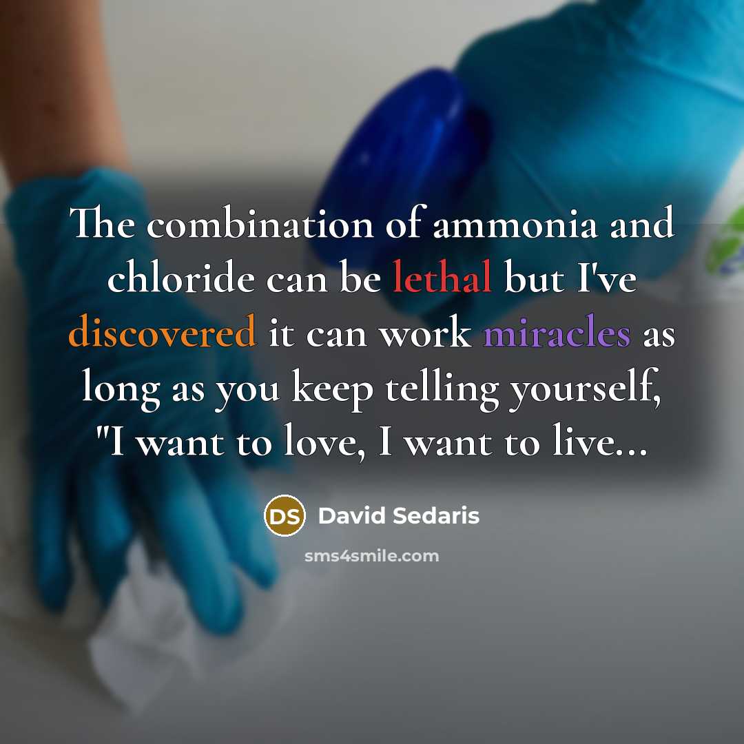 “The combination of ammonia and chloride can be lethal but I've discovered it can work miracles as long as you keep telling yourself, "I want to love, I want to live...” quote by David Sedaris