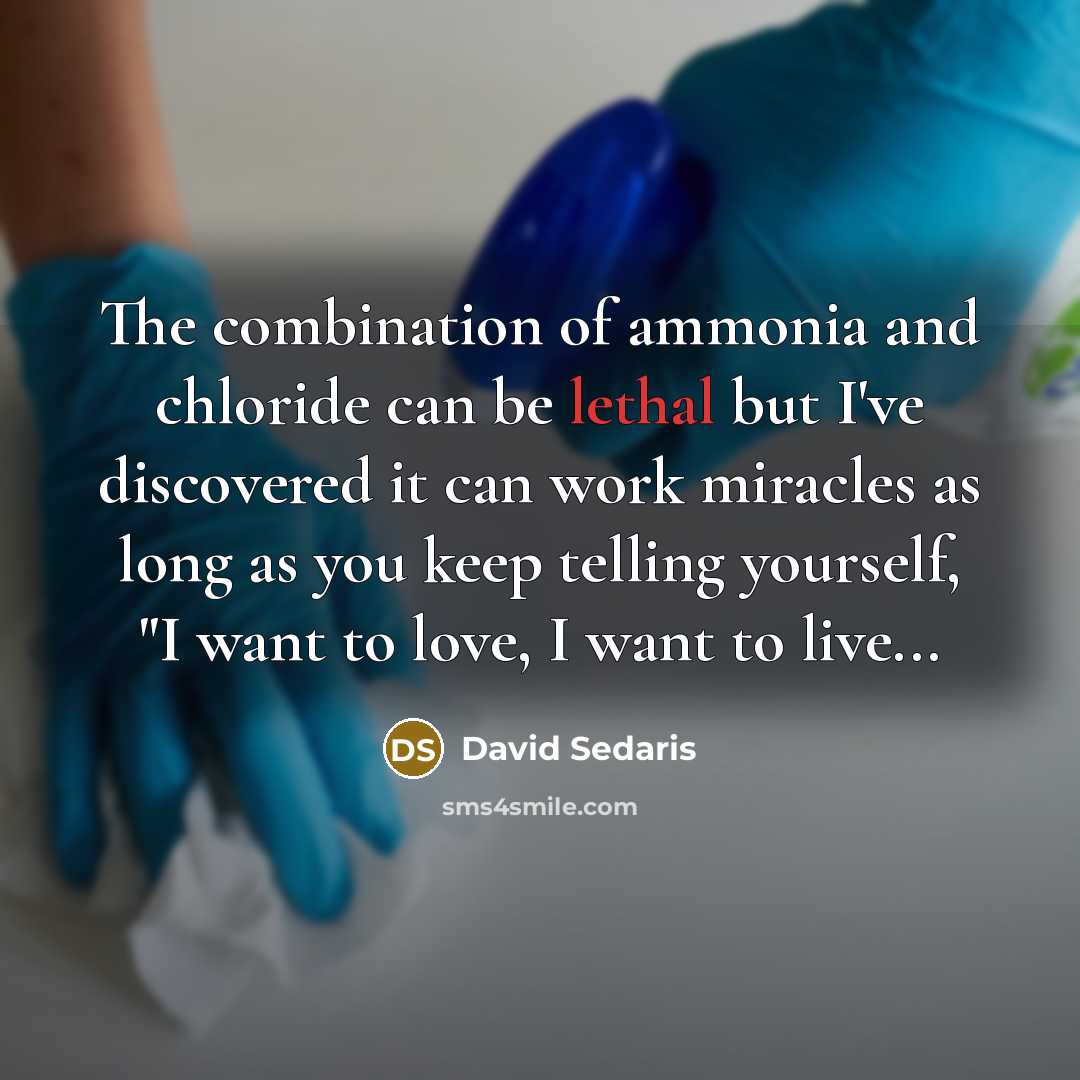 “The combination of ammonia and chloride can be lethal but…” quote by David Sedaris