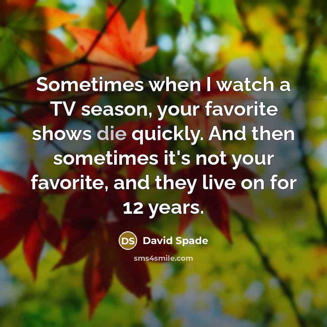 “Sometimes when I watch a TV season, your favorite shows…” quote by David Spade